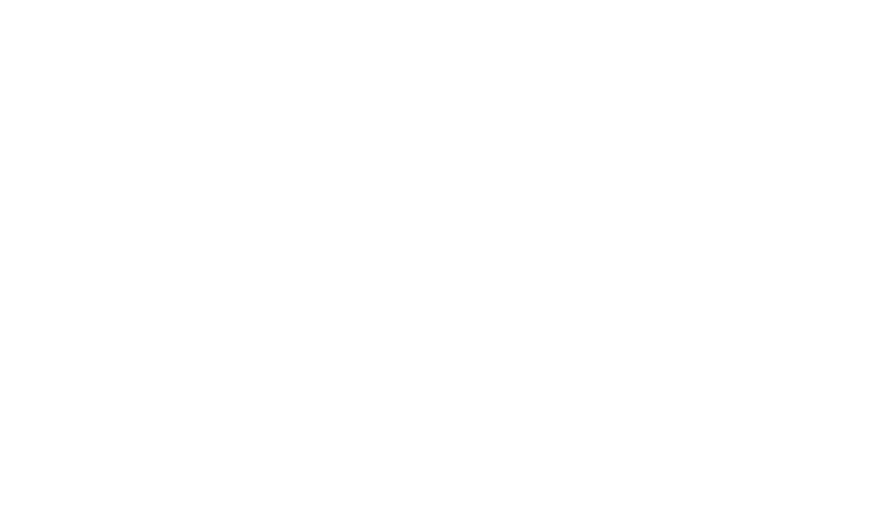 Meastro Architecture
